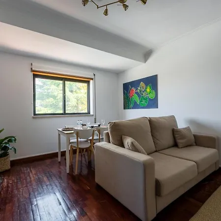 Cozy Coimbra Apartment Апартаменты Коимбра
