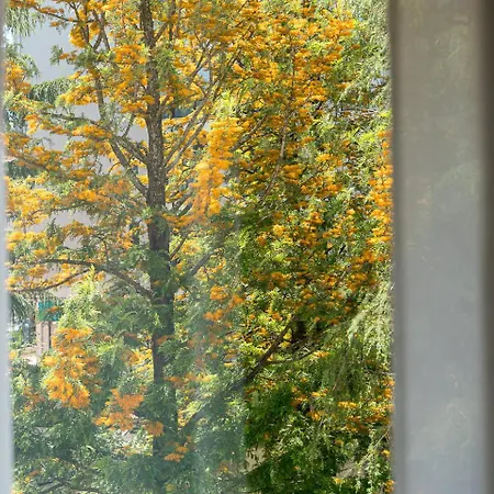 Cozy Coimbra Apartment *